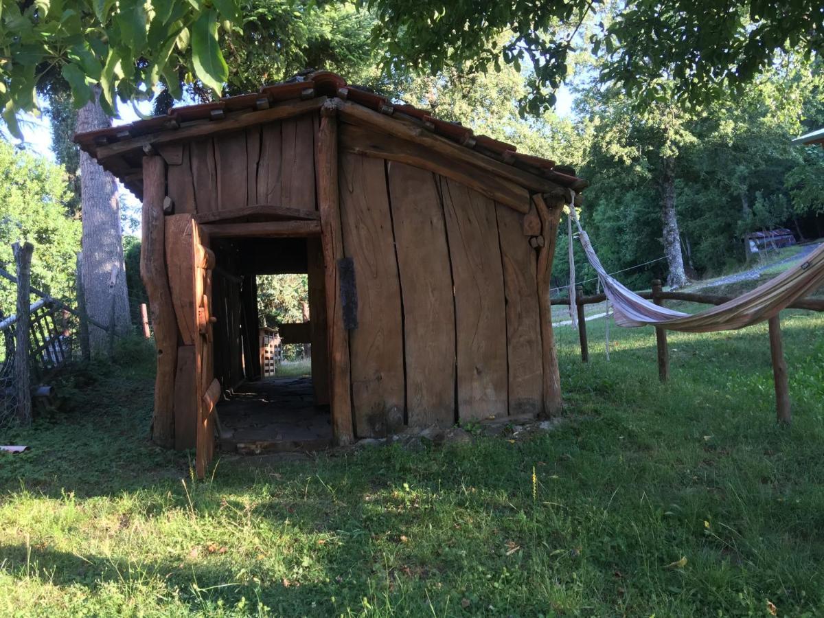La Casina Del Prete Βίλα Caprese Michelangelo Εξωτερικό φωτογραφία