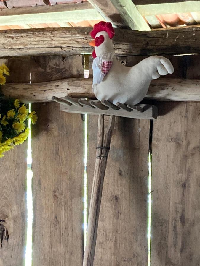 La Casina Del Prete Βίλα Caprese Michelangelo Εξωτερικό φωτογραφία